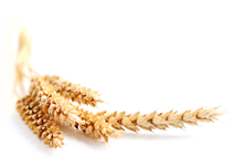 Водки: Водка "Selecta"