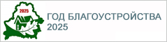 Год благоустройства